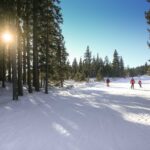 Photo of Amazing Sun Through Snowy Forest