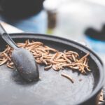 Fried Caterpillars Traditional Exotic Asian Food