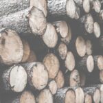 Pile of Felled Wood Logs Desaturated