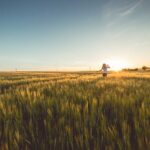 Young Woman Running Through Wheat Field on Sunset